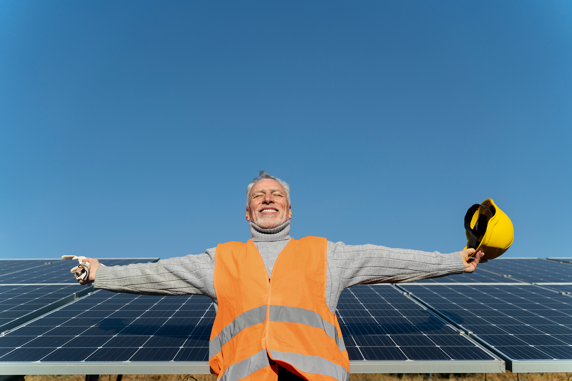 imagen profesional de las placas solares contento 